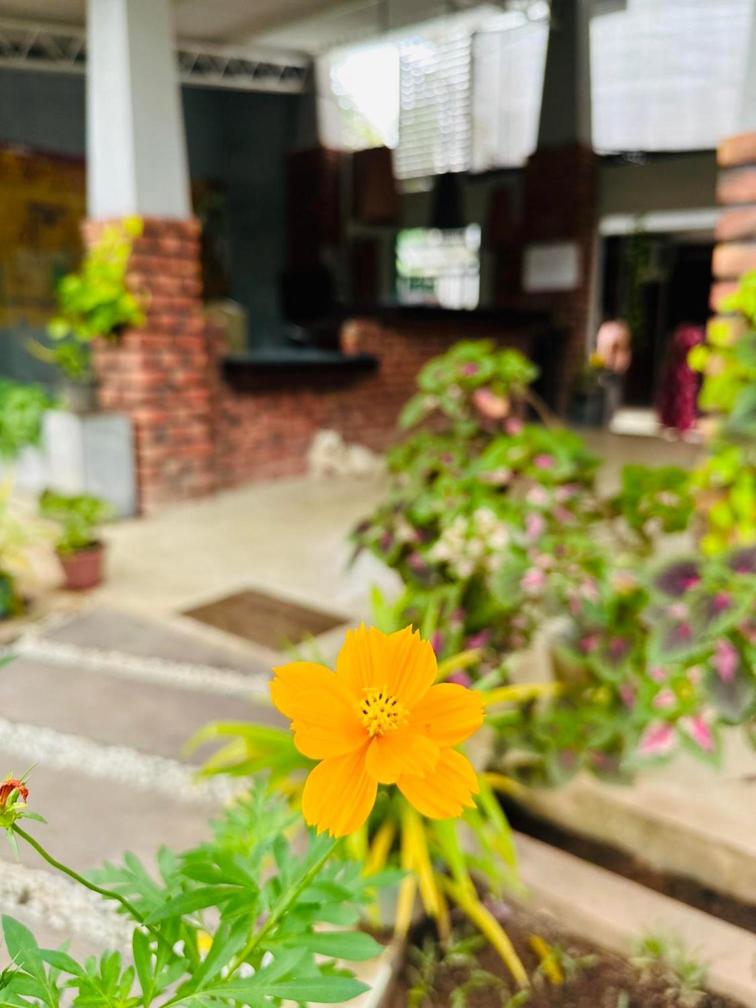 Lanka Bangla Inn Villas Restaurant & Travels Katunayaka Dış mekan fotoğraf